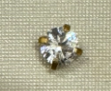 Suri Flatback