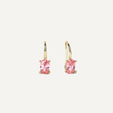 Jenny Single Stone Drop Hook Earrings