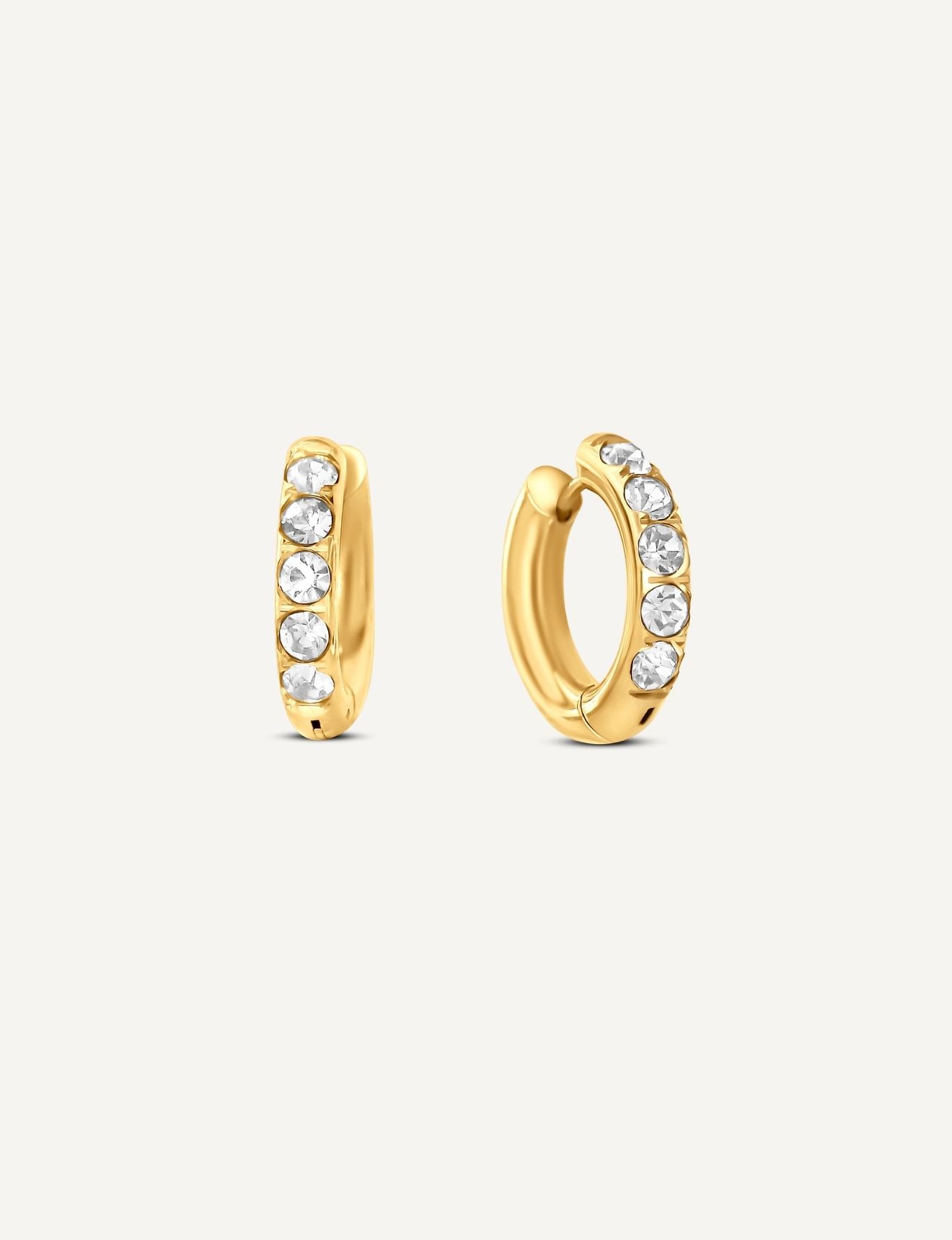 Gia Studded Hoops