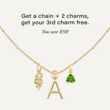 Multi-Charm Necklace