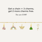 Multi-Charm Necklace