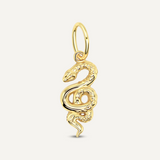 Snake Charm