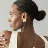 Matte Arc Semi Hoop Earrings in Gold